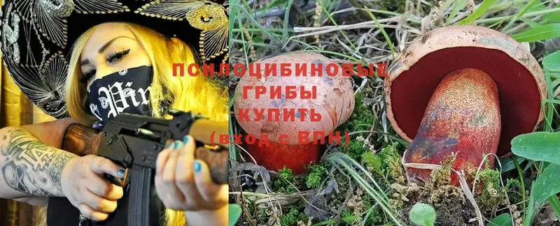 Псилоцибиновые грибы Magic Shrooms  Пугачёв 